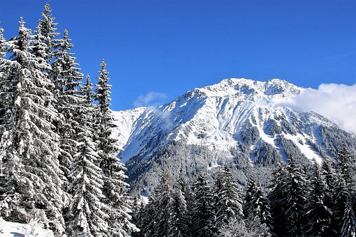 LaS 6 acciones por el planeta a partir de davos 2019