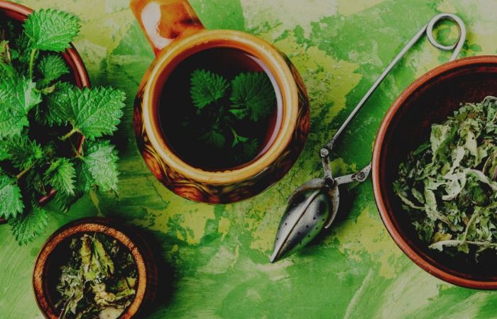 Ortiga: Conocé todas sus propiedades