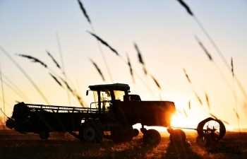 9 de septiembre: Día Mundial de la Agricultura