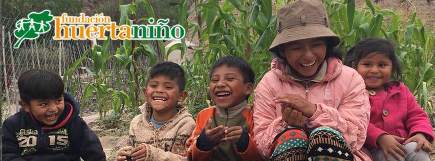 Huertas comunitarias en escuelas: fundación huerta niño