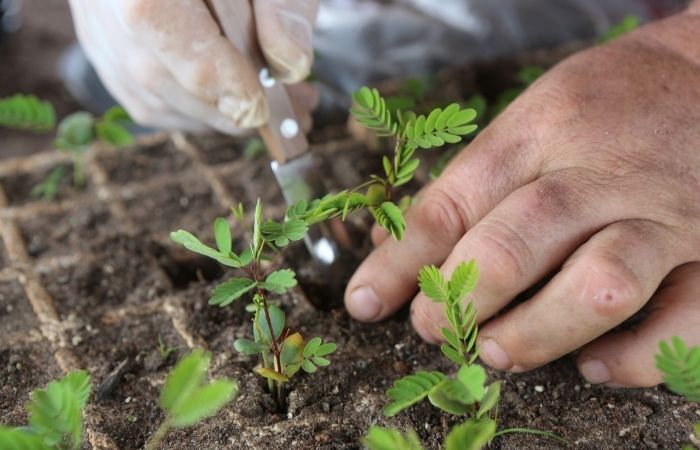 Taller de Huerta Agroecológica