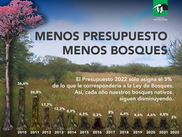 Presupuesto 2022: Menos bosques nativos