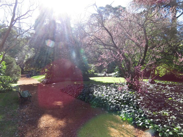 Día Mundial de los Jardines Botánicos
