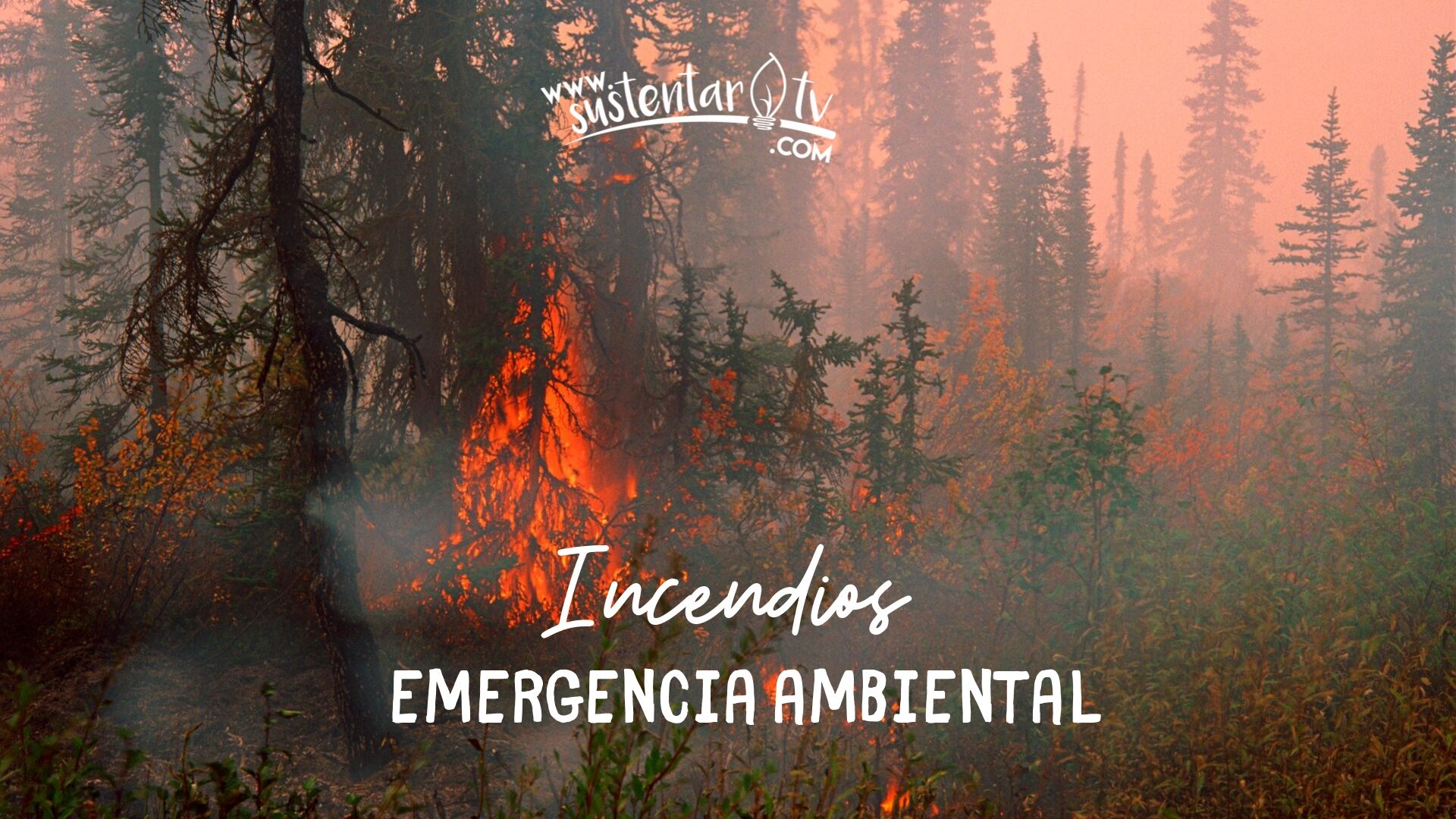 Los incendios  continúan, ahora se suma Paraguay