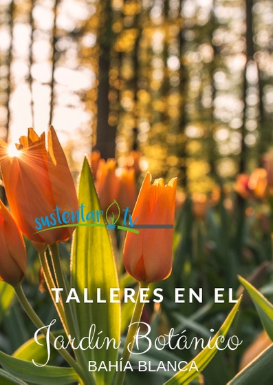 Talleres en el jardín botánico
