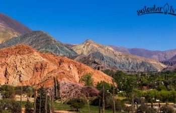 Jujuy: Con Fellner y Mussi lanzaron "Perico mas limpio" y “Todos por nuestro ambiente”