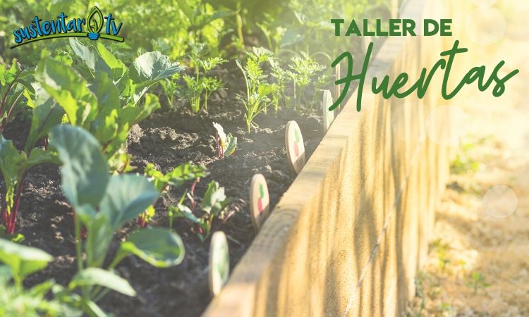 Taller de Huerta en Monte Hermoso