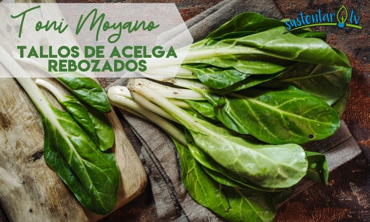 Tallos de acelga Rebozados