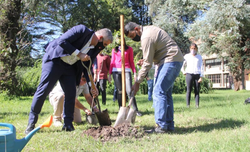 Otra universidad argentina comenzó a plantar un árbol por cada persona graduada