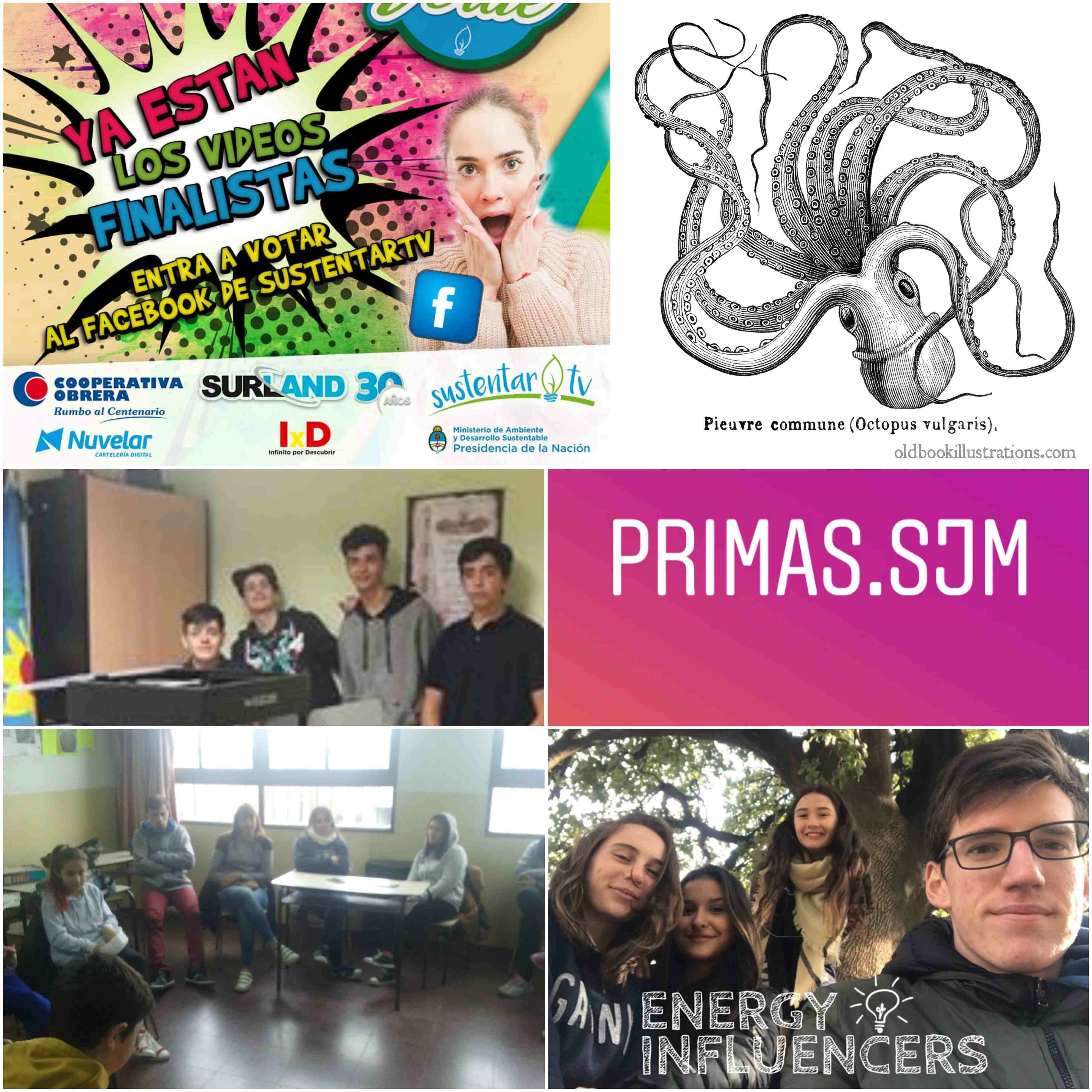 ellos son los finalistas del challenge verde 2018