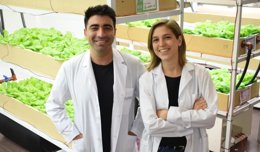 Alimentos del futuro usando hidroponia y electroestimulación