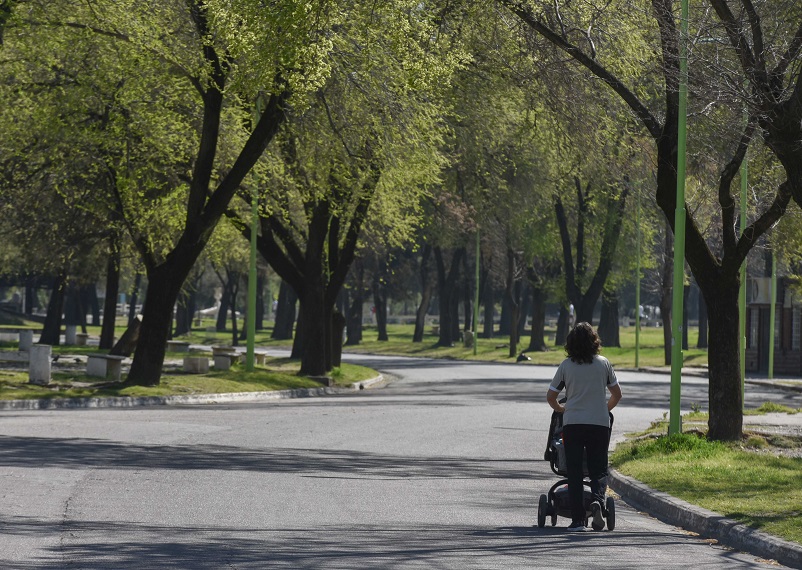 Continúa el V Congreso Argentino de Arbolado Público en Bahía Blanca