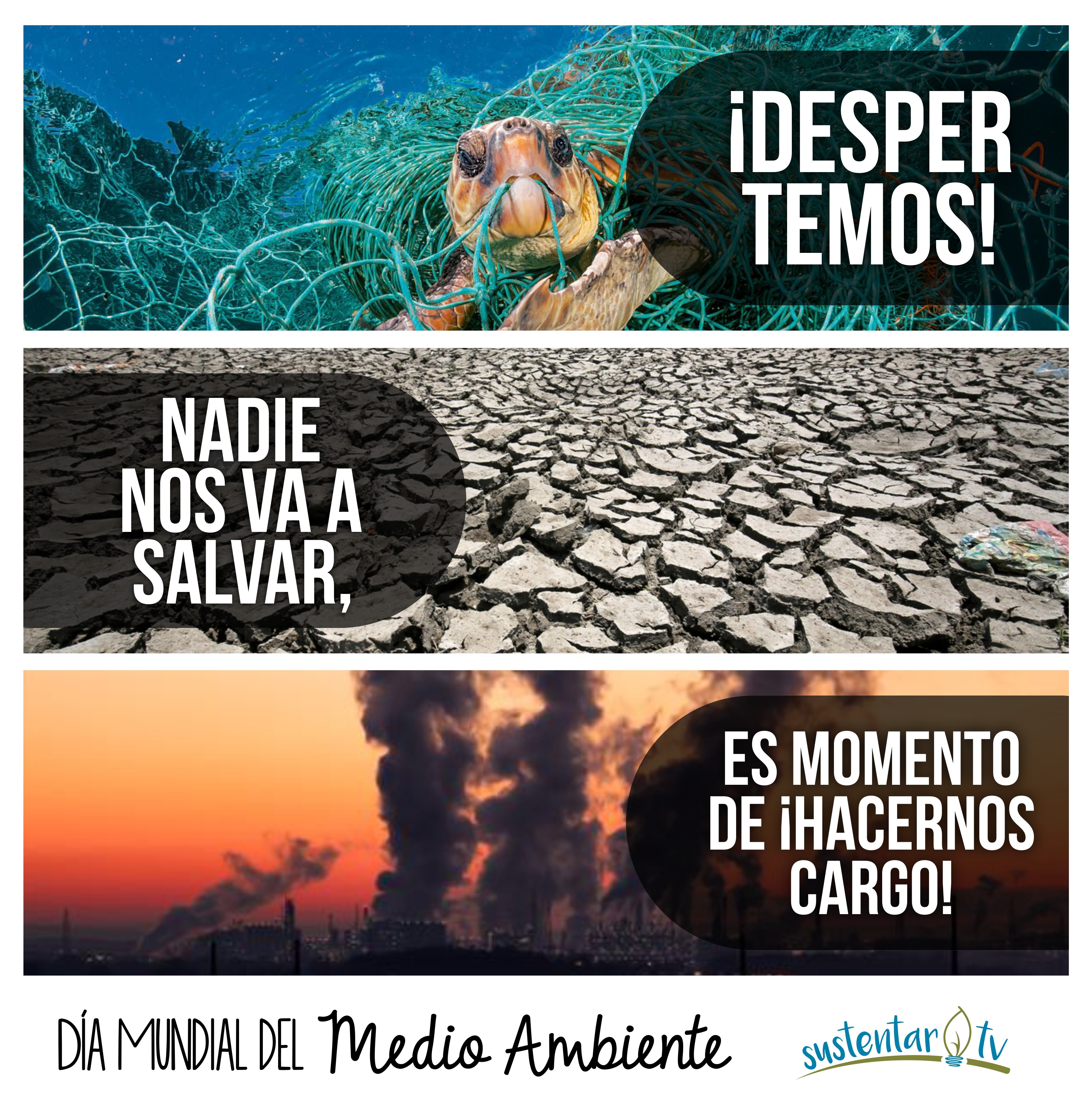 DÍA MUNDIAL DEL MEDIO AMBIENTE 2019: CONTAMINACIÓN DEL AIRE