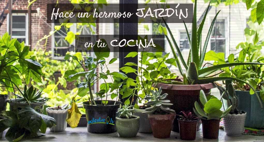 ¿Cómo hacer un hermoso jardín en tu cocina?