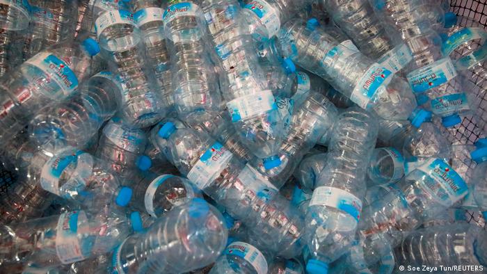 La saliva de los gusanos de la cera pueden degradar plásticos