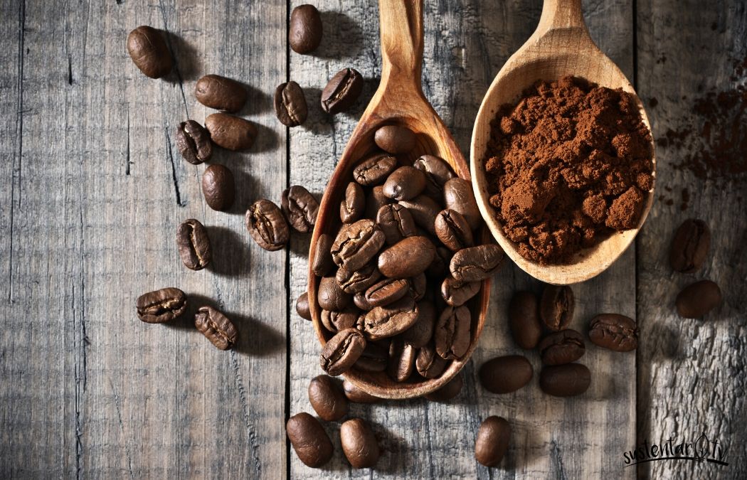 ¿Qué puedo hacer con los restos de café?