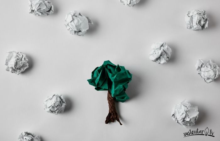 Papel ¿cuántas veces podemos reciclarlo?