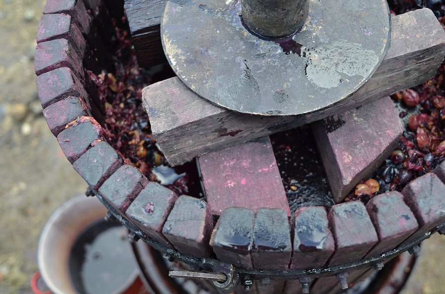 EL ACEITE DE UVA PODRÍA CUBRIR UNA NECESIDAD ENERGETICA MUNDIAL