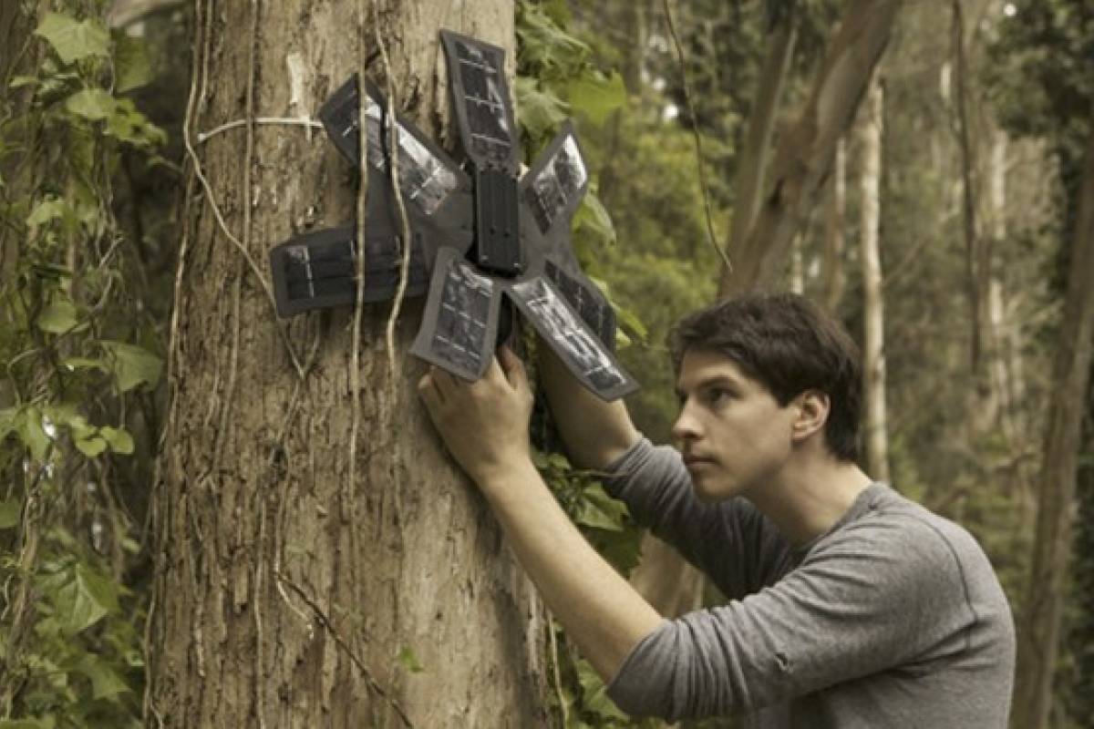 Teléfonos reutilizados para salvar los bosques