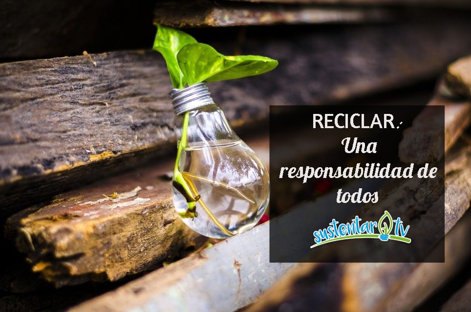 Reciclar : ES UNA RESPONSABILIDAD DE TODOS