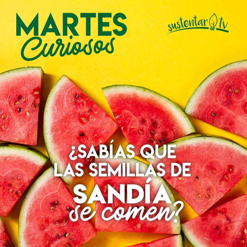 ¿Se comen las pepitas de sandía?