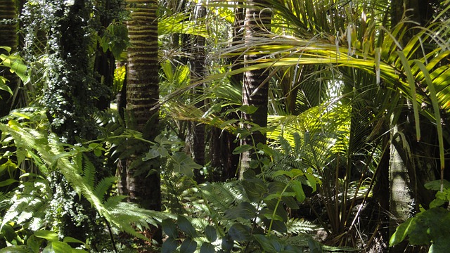 Una de cada 5 personas en el mundo depende de 50.000 especies silvestres amenazadas