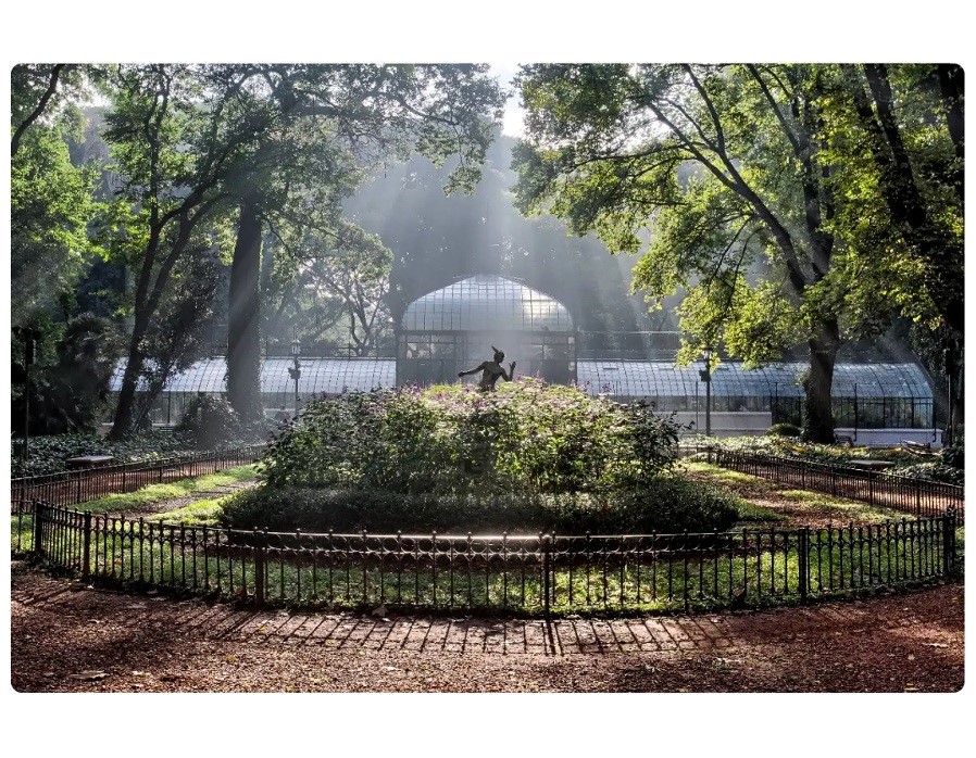¿CUÁNTO VALEN los árboles de este lugar?