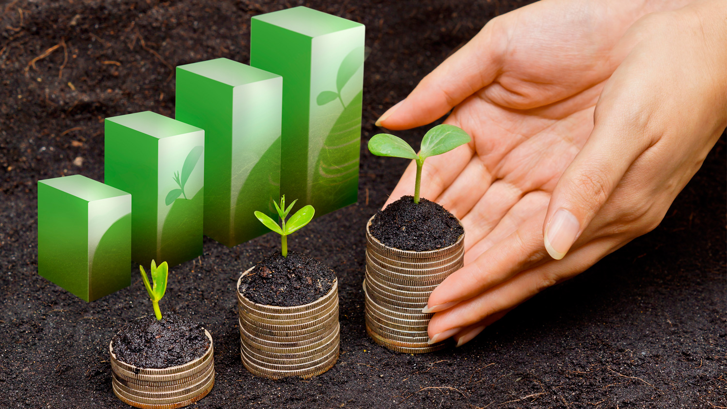 Compras sustentables: cómo son y qué beneficios tienen