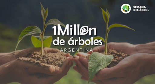 Registrá tu acción en el Mapa Interactivo de Semana del Árbol