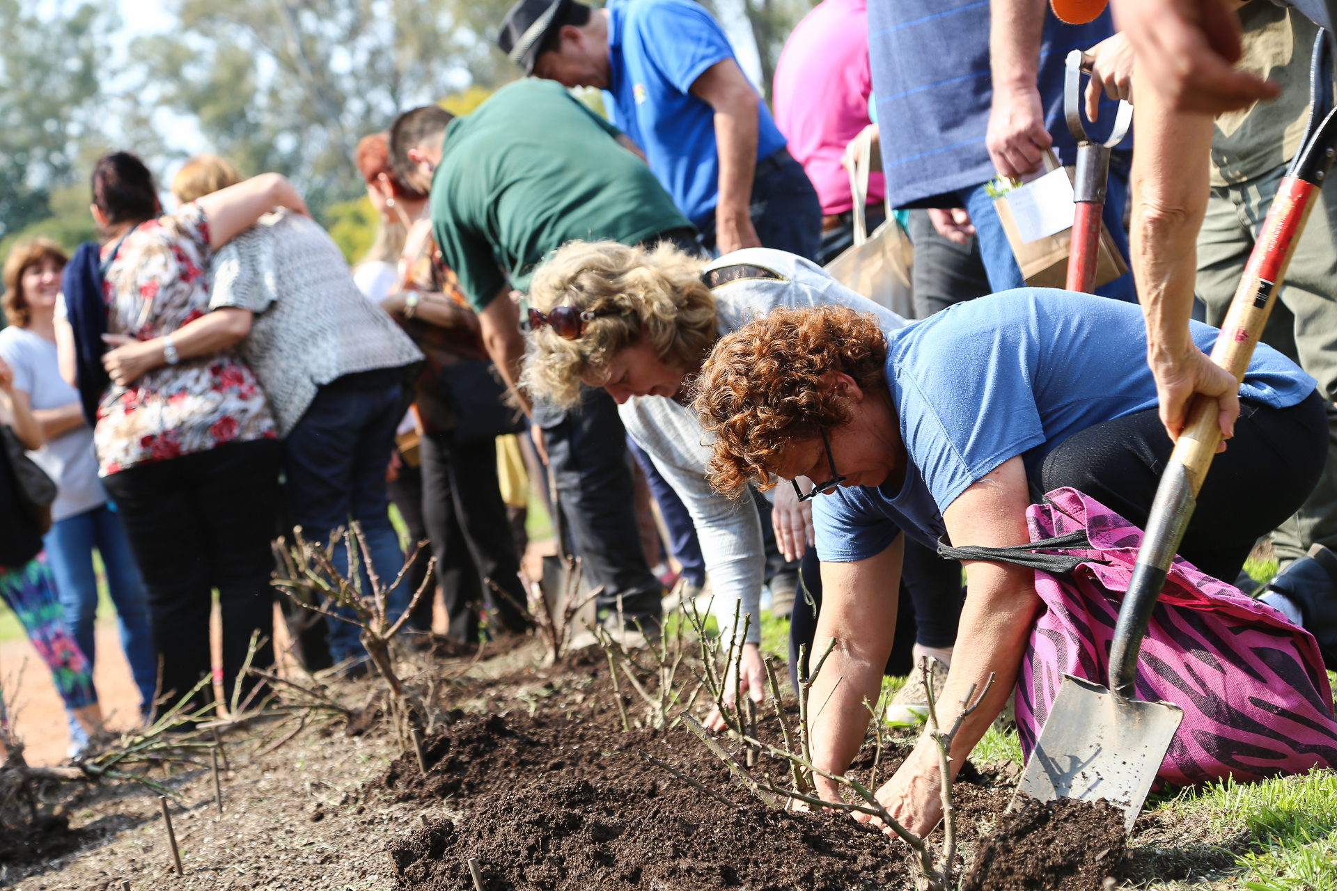 El Voluntariado Ambiental en Rosario