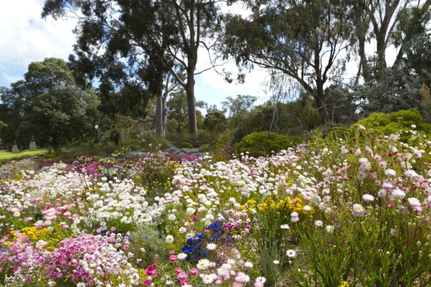 Jardines salvajes ¿te animarías?