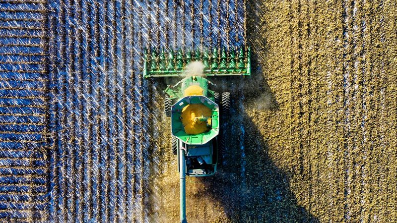 Aumento del óxido nitroso agrícola, otro peligroso gas de efecto invernadero